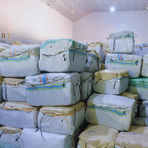 20231007_105306_0000-500×500